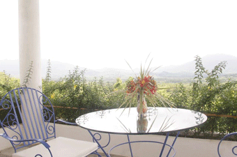 バルコニーから見た眺め