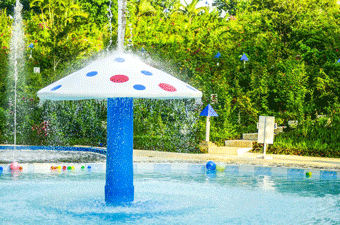 家族向けプール