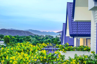 宿泊施設SAPPHIRE HILLSから見た風景