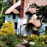 Cockington Country Park