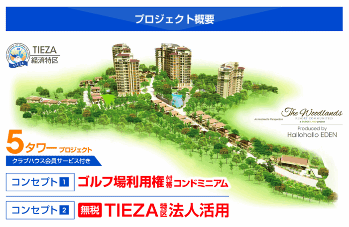 プロジェクト概要