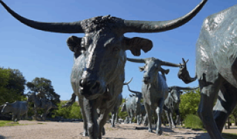 ダラスの街並み